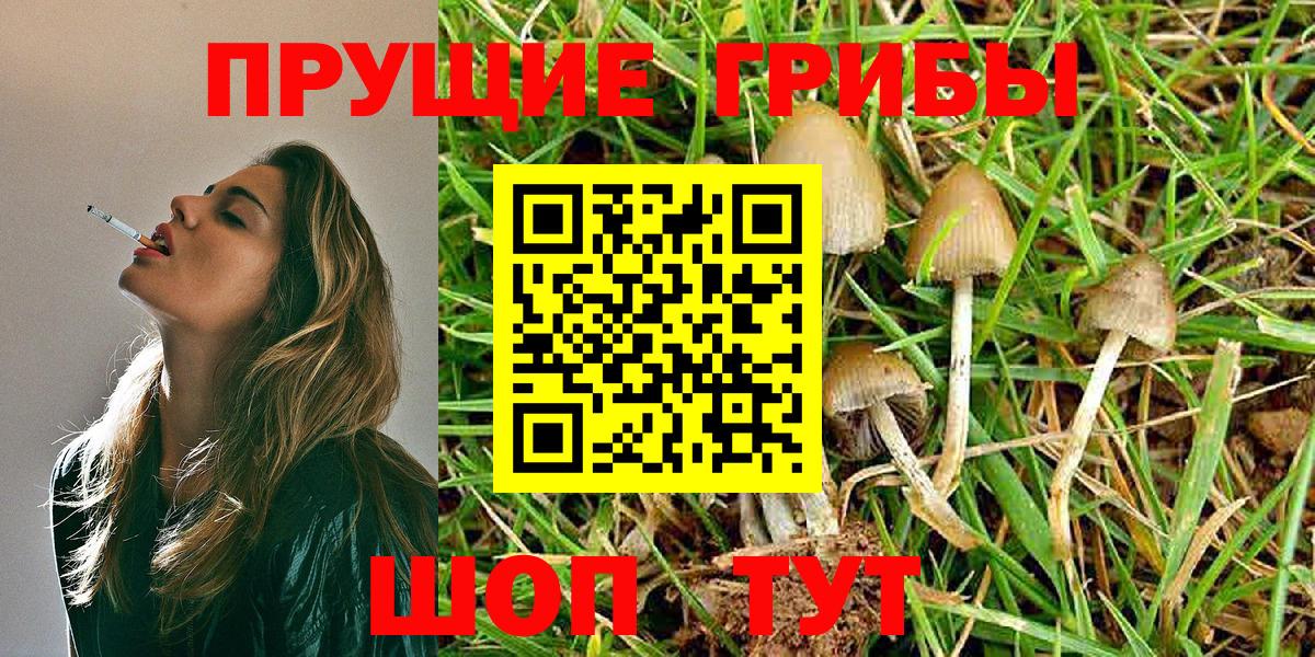Псилоцибиновые грибы Magic Shrooms Фурманов